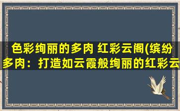 色彩绚丽的多肉 红彩云阁(缤纷多肉：打造如云霞般绚丽的红彩云阁)